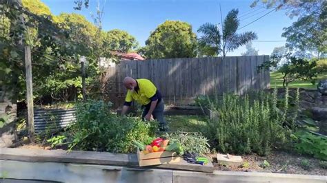 yourtown draw 533|GARDEN TOUR .